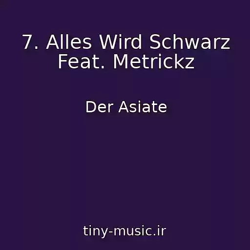 کاور آهنگ 7. Alles Wird Schwarz Feat. Metrickz از Der Asiate