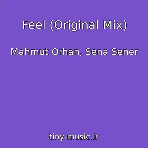 کاور آهنگ Feel (Original Mix) از Mahmut Orhan, Sena Sener
