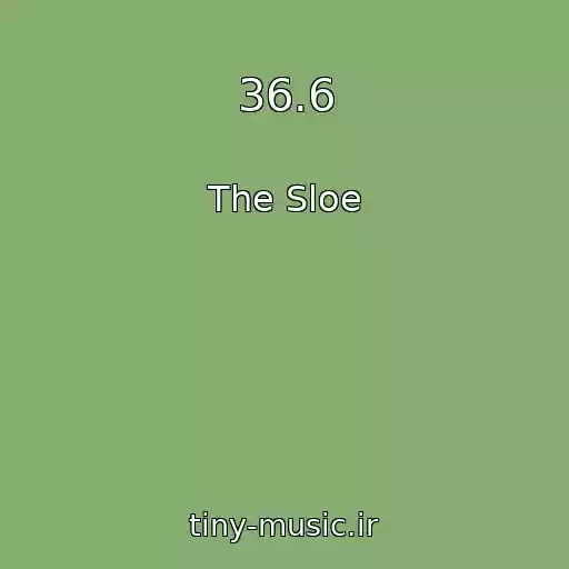 کاور آهنگ 36.6 از The Sloe