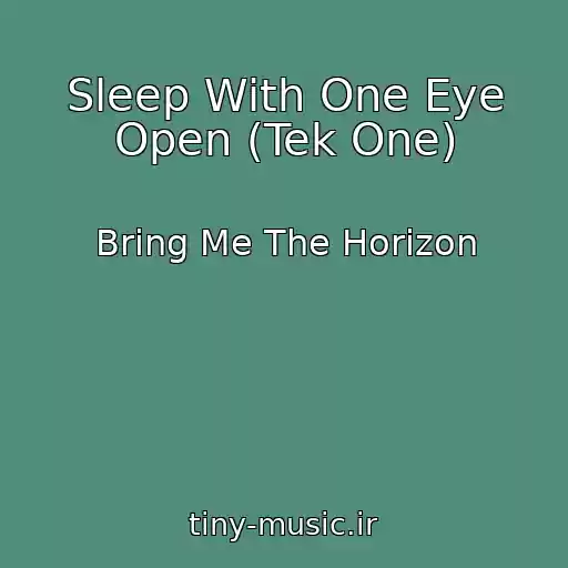 کاور آهنگ Sleep With One Eye Open (Tek One) از Bring Me The Horizon