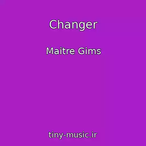 کاور آهنگ Changer از Maitre Gims