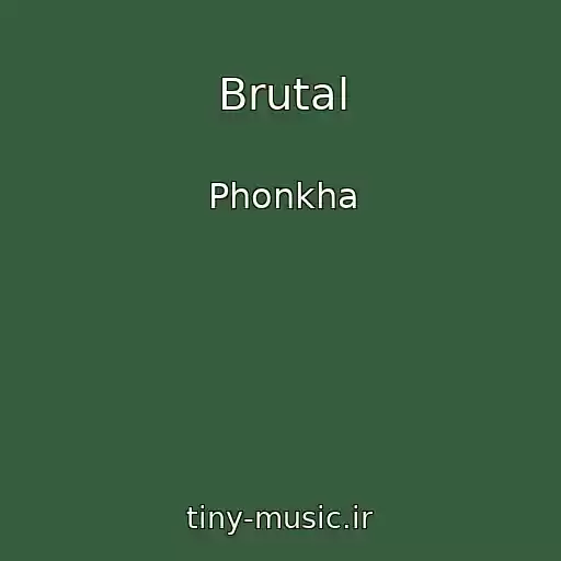 کاور آهنگ Brutal از Phonkha