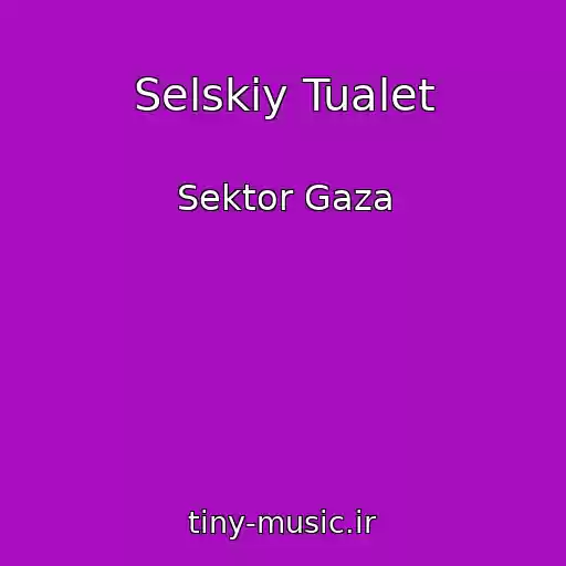 کاور آهنگ Selskiy Tualet از Sektor Gaza