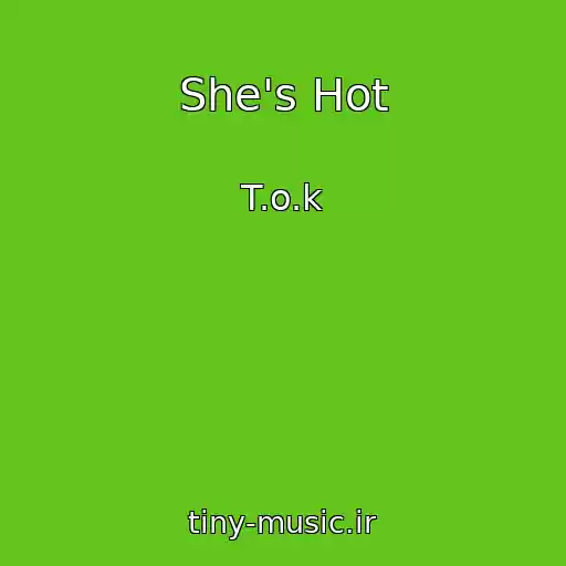 کاور آهنگ She's Hot از T.o.k