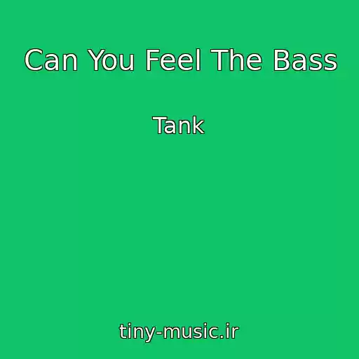 کاور آهنگ Can You Feel The Bass از Tank