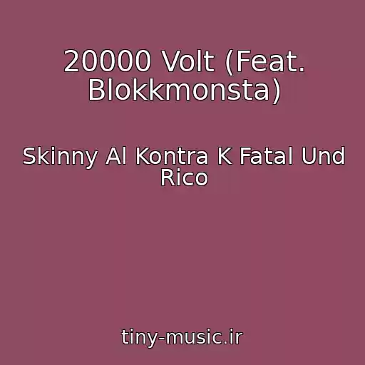 کاور آهنگ 20000 Volt (Feat. Blokkmonsta) از Skinny Al Kontra K Fatal Und Rico