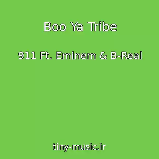 کاور آهنگ Boo Ya Tribe از 911 Ft. Eminem & B-Real