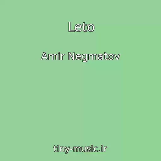کاور آهنگ Leto از Amir Negmatov