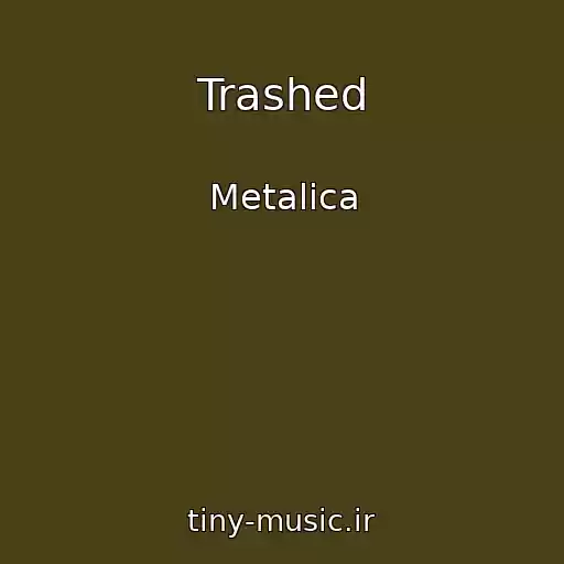 کاور آهنگ Trashed از Metalica