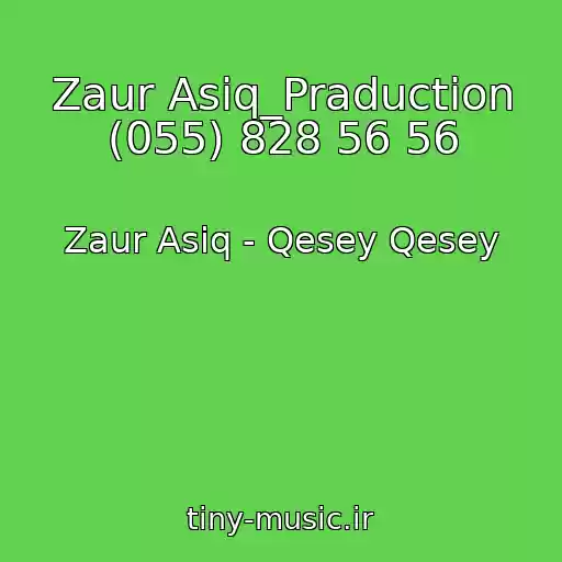 کاور آهنگ Zaur Asiq_Praduction (055) 828 56 56 از Zaur Asiq - Qesey Qesey