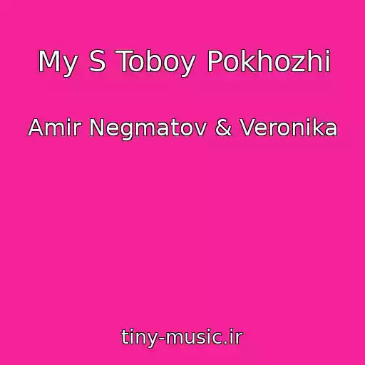 کاور آهنگ My S Toboy Pokhozhi از Amir Negmatov & Veronika