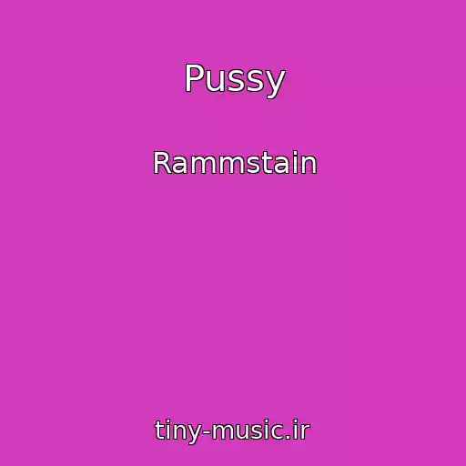 کاور آهنگ Pussy از Rammstain