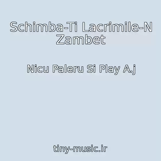 کاور آهنگ Schimba-Ti Lacrimile-N Zambet از Nicu Paleru Si Play A.j