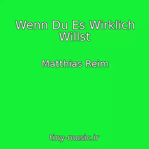 کاور آهنگ Wenn Du Es Wirklich Willst از Matthias Reim