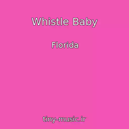 کاور آهنگ Whistle Baby از Florida