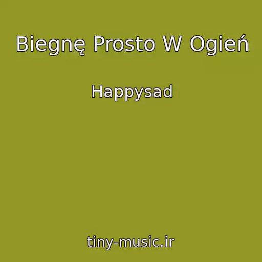 کاور آهنگ Biegnę Prosto W Ogień از Happysad