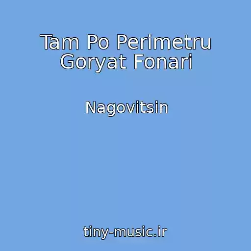 کاور آهنگ Tam Po Perimetru Goryat Fonari از Nagovitsin