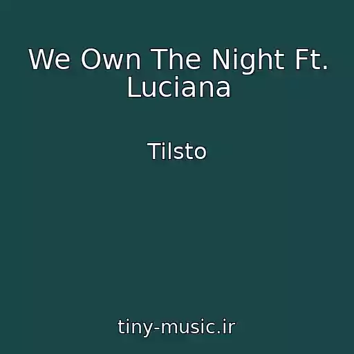 کاور آهنگ We Own The Night Ft. Luciana از Tilsto