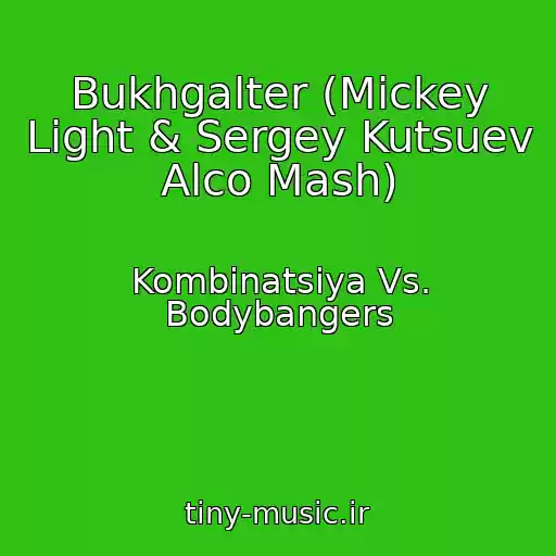 کاور آهنگ Bukhgalter (Mickey Light & Sergey Kutsuev Alco Mash) از Kombinatsiya Vs. Bodybangers