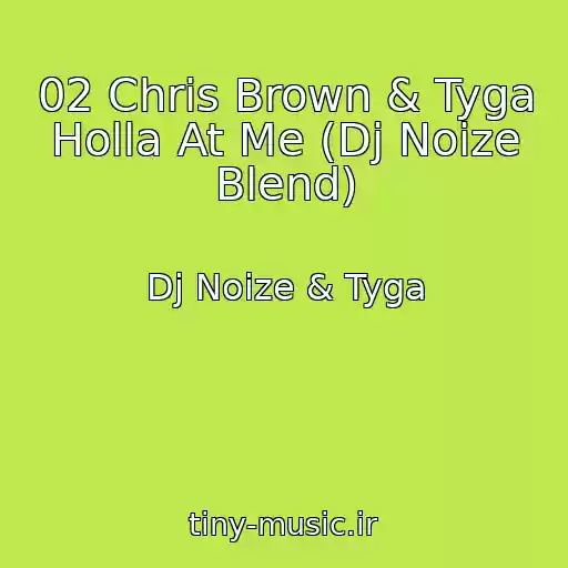 کاور آهنگ 02 Chris Brown & Tyga Holla At Me (Dj Noize Blend) از Dj Noize & Tyga