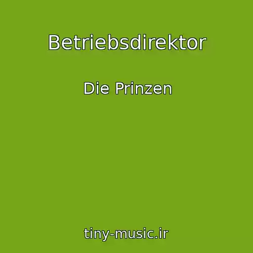 کاور آهنگ Betriebsdirektor از Die Prinzen