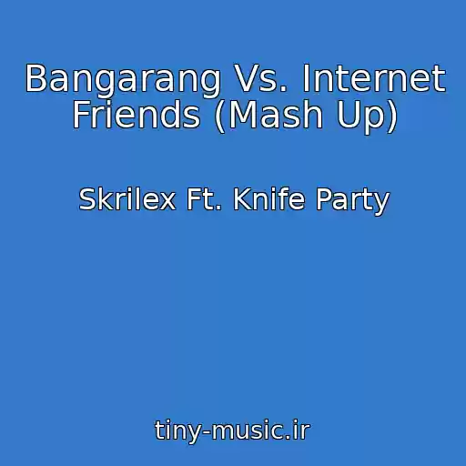 کاور آهنگ Bangarang Vs. Internet Friends (Mash Up) از Skrilex Ft. Knife Party