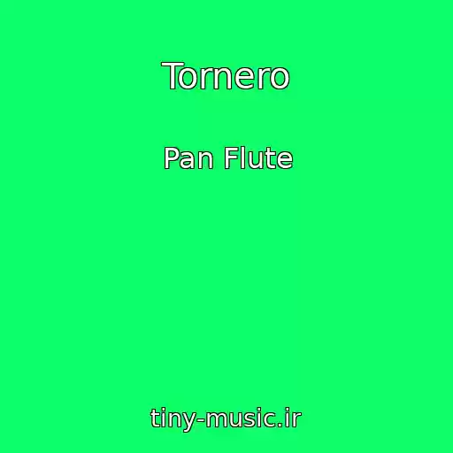 کاور آهنگ Tornero از Pan Flute