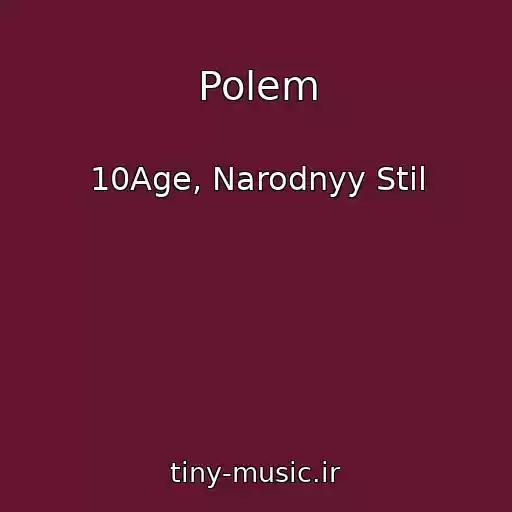 کاور آهنگ Polem از 10Age, Narodnyy Stil