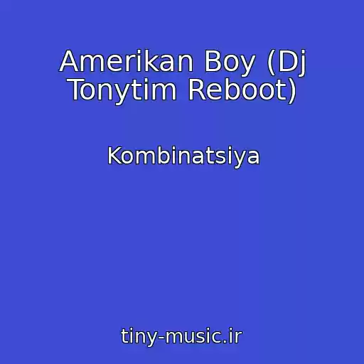 کاور آهنگ Amerikan Boy (Dj Tonytim Reboot) از Kombinatsiya