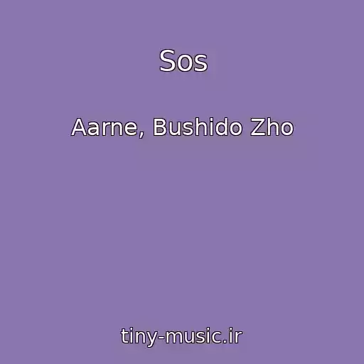 کاور آهنگ Sos از Aarne, Bushido Zho