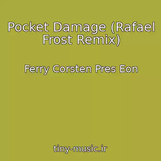کاور آهنگ Pocket Damage (Rafael Frost Remix) از Ferry Corsten Pres Eon