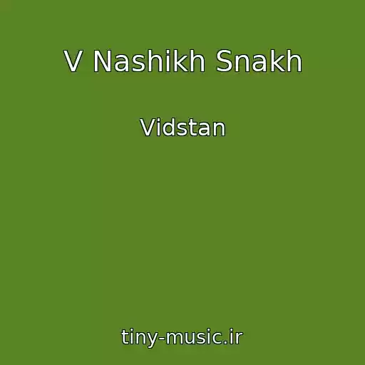 کاور آهنگ V Nashikh Snakh از Vіdstan