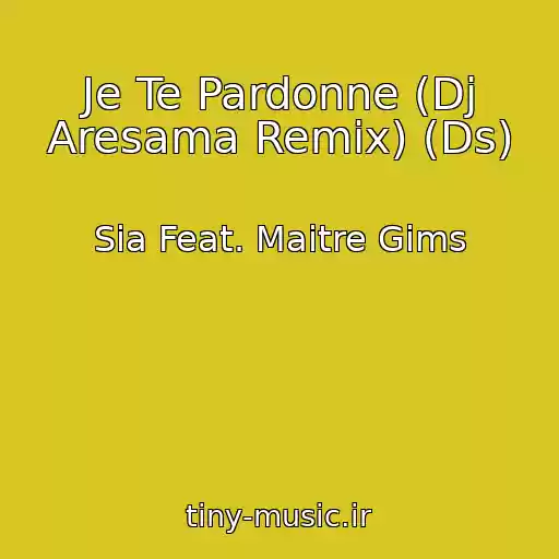 کاور آهنگ Je Te Pardonne (Dj Aresama Remix) (Ds) از Sia Feat. Maitre Gims
