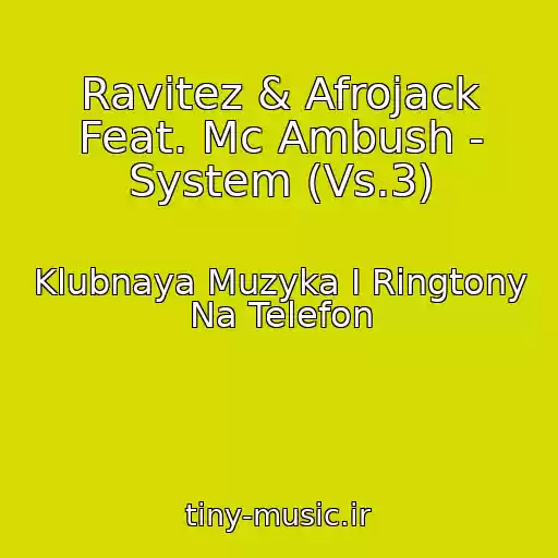 کاور آهنگ Ravitez & Afrojack Feat. Mc Ambush - System (Vs.3) از Klubnaya Muzyka I Ringtony Na Telefon