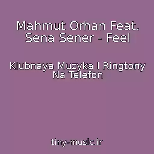 کاور آهنگ Mahmut Orhan Feat. Sena Sener - Feel از Klubnaya Muzyka I Ringtony Na Telefon