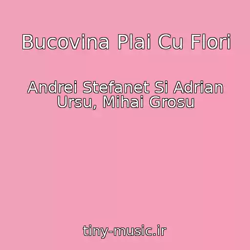 کاور آهنگ Bucovina Plai Cu Flori از Andrei Stefanet Si Adrian Ursu, Mihai Grosu