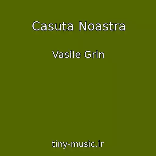 کاور آهنگ Casuta Noastra از Vasile Grin