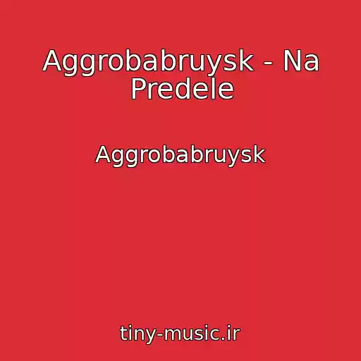 کاور آهنگ Aggrobabruysk - Na Predele از Aggrobabruysk