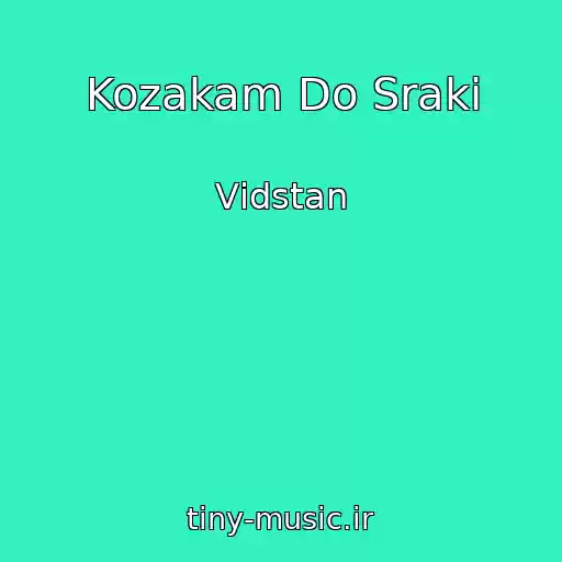 کاور آهنگ Kozakam Do Sraki از Vіdstan