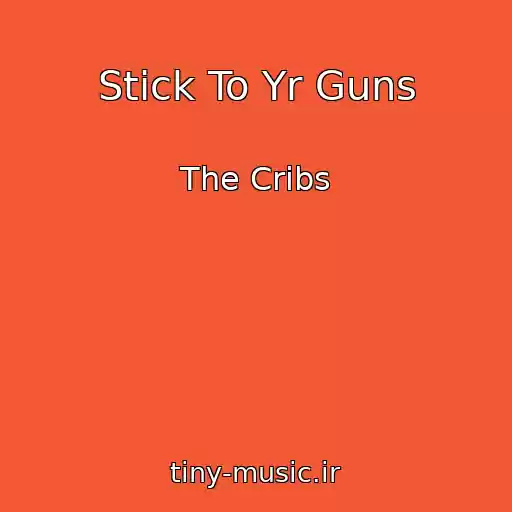 کاور آهنگ Stick To Yr Guns از The Cribs
