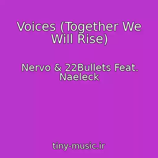 کاور آهنگ Voices (Together We Will Rise) از Nervo & 22Bullets Feat. Naeleck