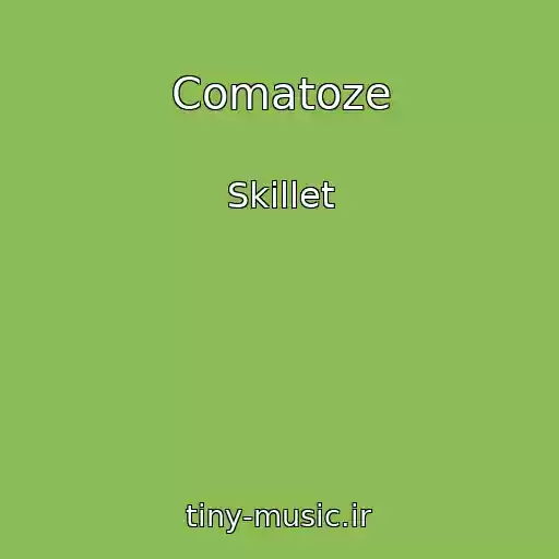 کاور آهنگ Comatoze از Skillet
