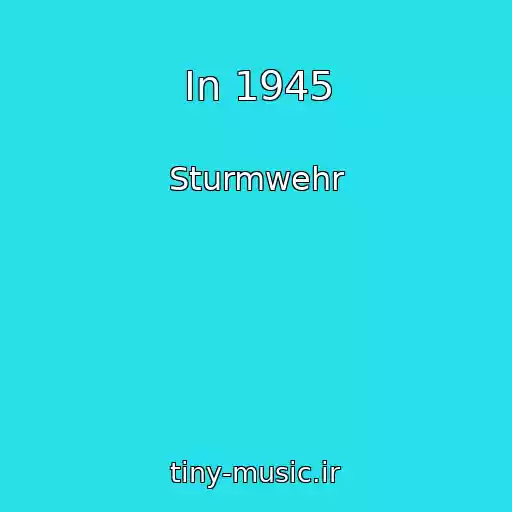 کاور آهنگ In 1945 از Sturmwehr