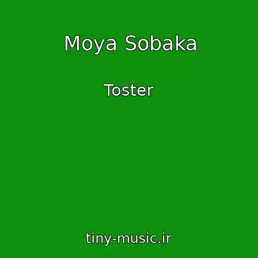 کاور آهنگ Moya Sobaka از Toster