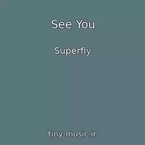 کاور آهنگ See You از Superfly