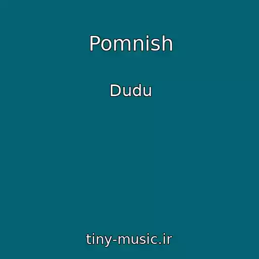 کاور آهنگ Pomnish از Dudu
