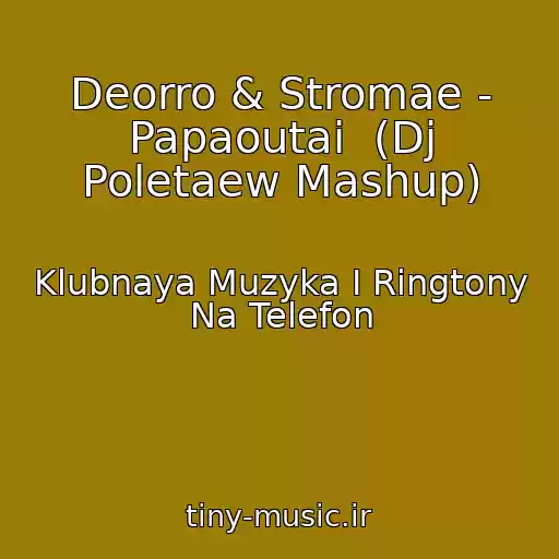 کاور آهنگ Deorro & Stromae - Papaoutai  (Dj Poletaew Mashup) از Klubnaya Muzyka I Ringtony Na Telefon