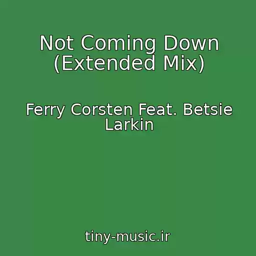 کاور آهنگ Not Coming Down (Extended Mix) از Ferry Corsten Feat. Betsie Larkin