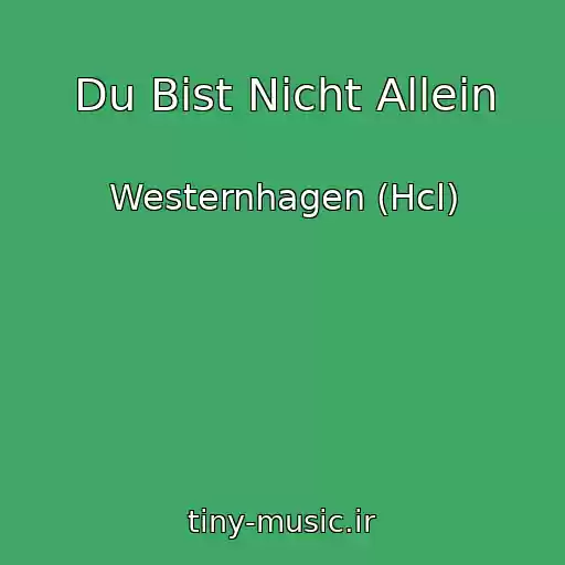 کاور آهنگ Du Bist Nicht Allein از Westernhagen (Hcl)
