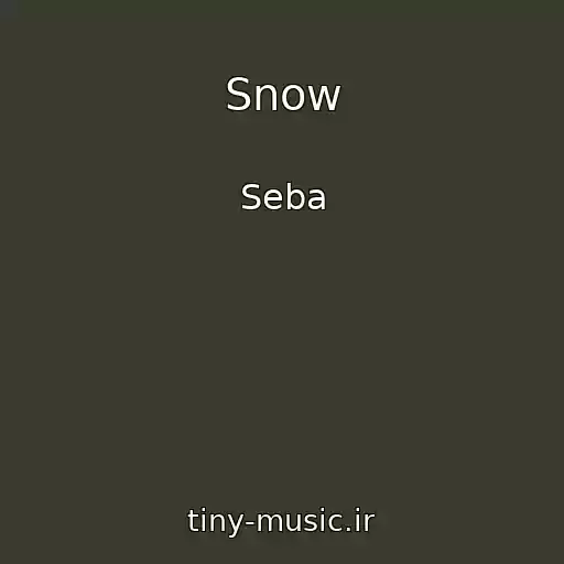 کاور آهنگ Snow از Seba